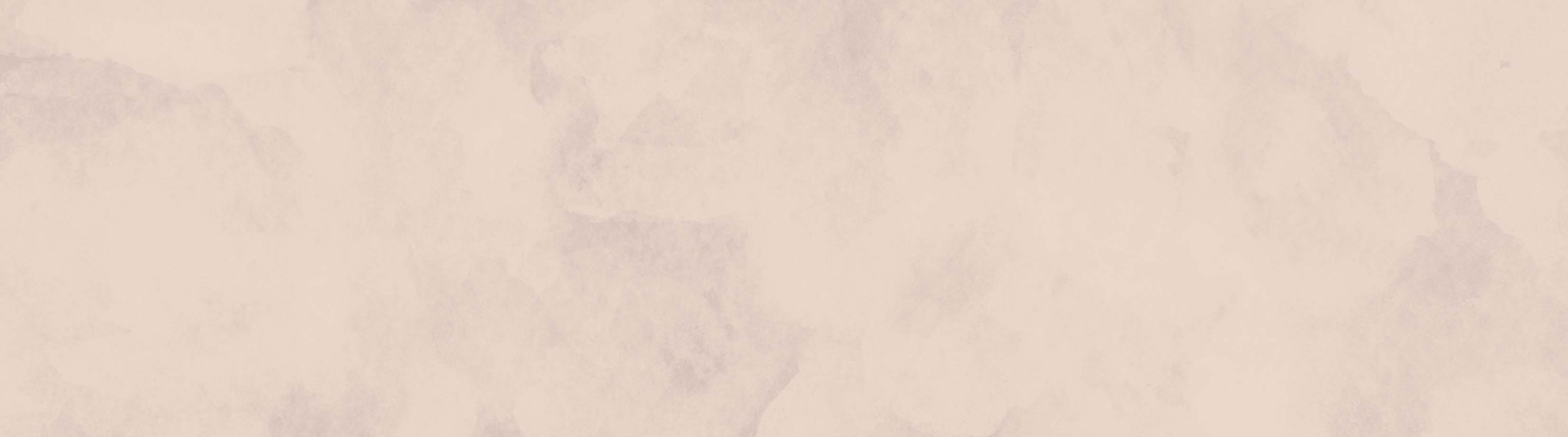 Sale Banner Image