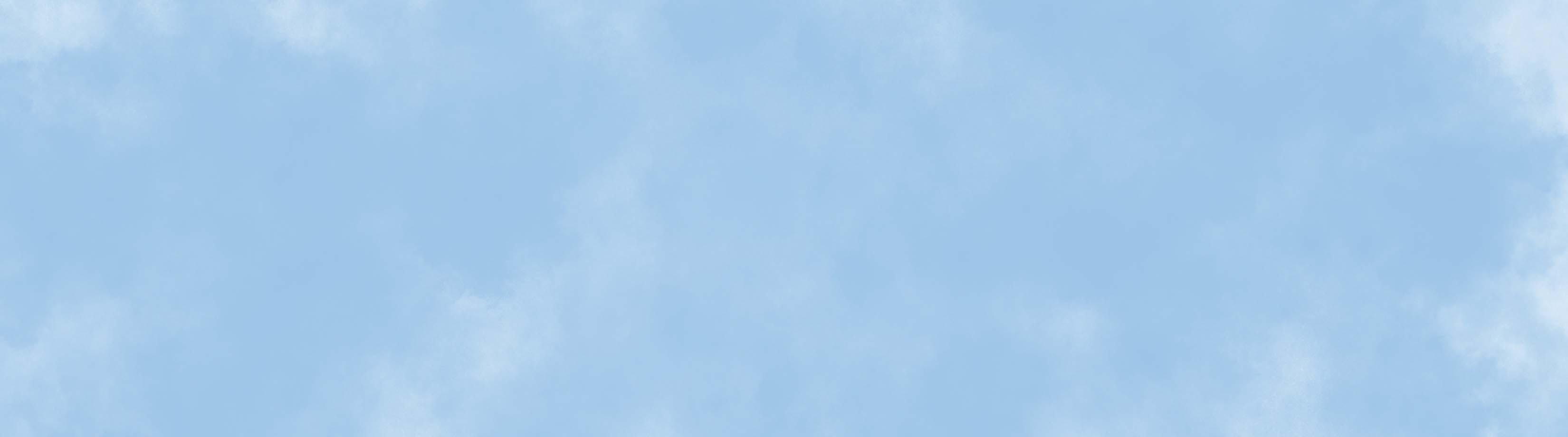 Sale Banner Image