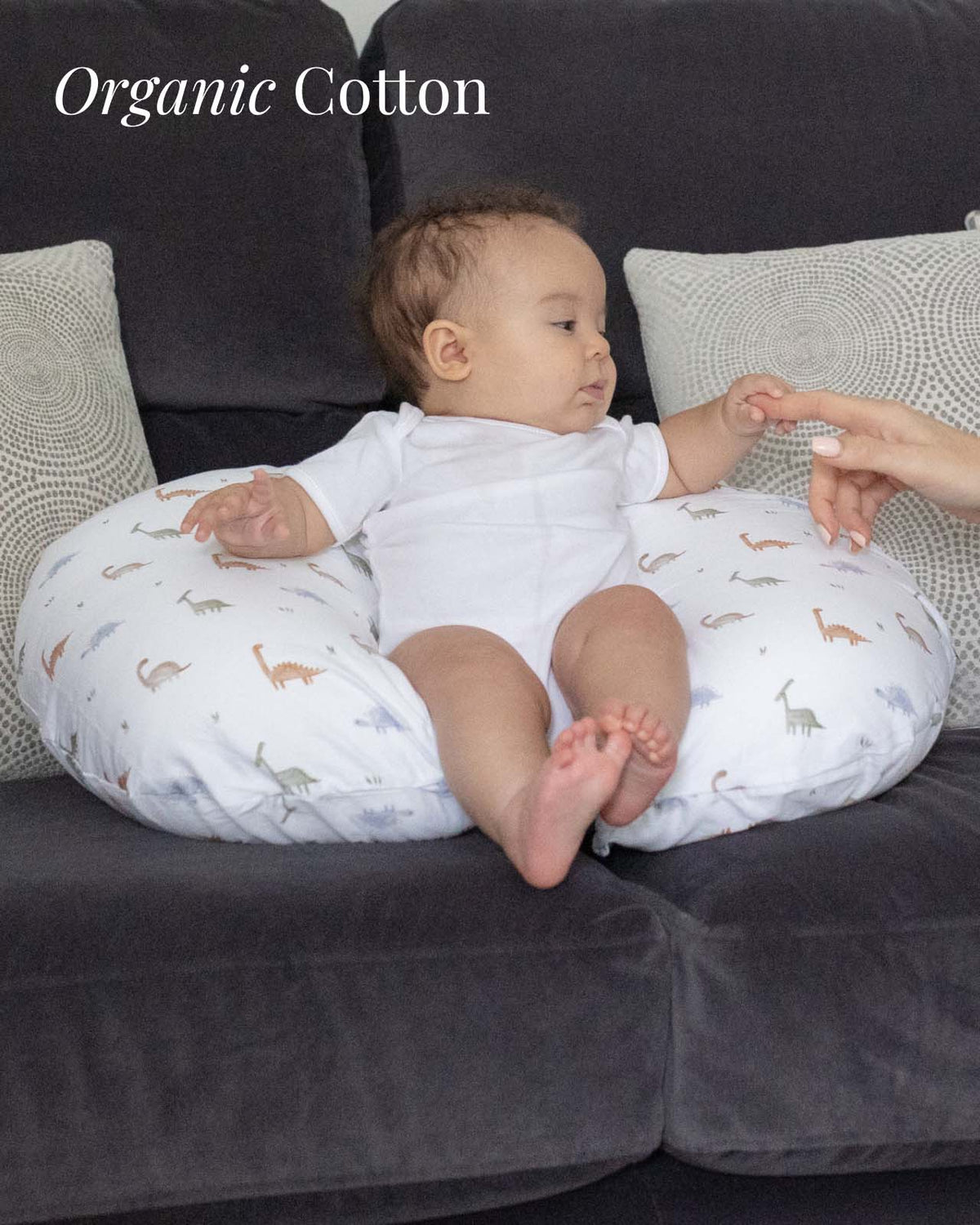 BABYGO® Dinosaur Nursing Pillow