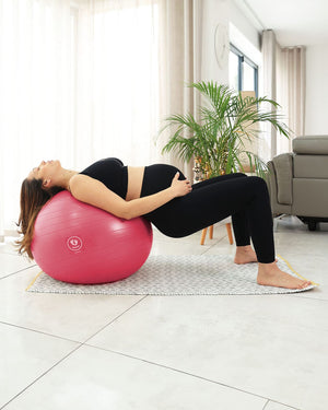 BABYGO® Birthing Ball Old Logo