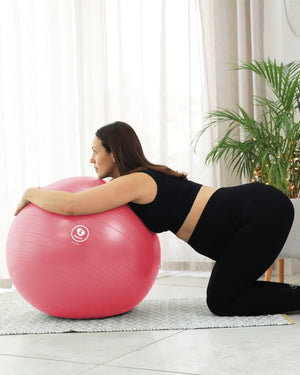 BABYGO® Birthing Ball Old Logo