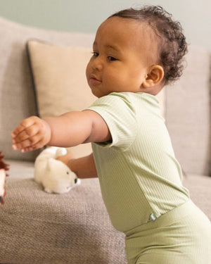 BABYGO® Short Sleeve Baby Bodysuit | 2 Pack