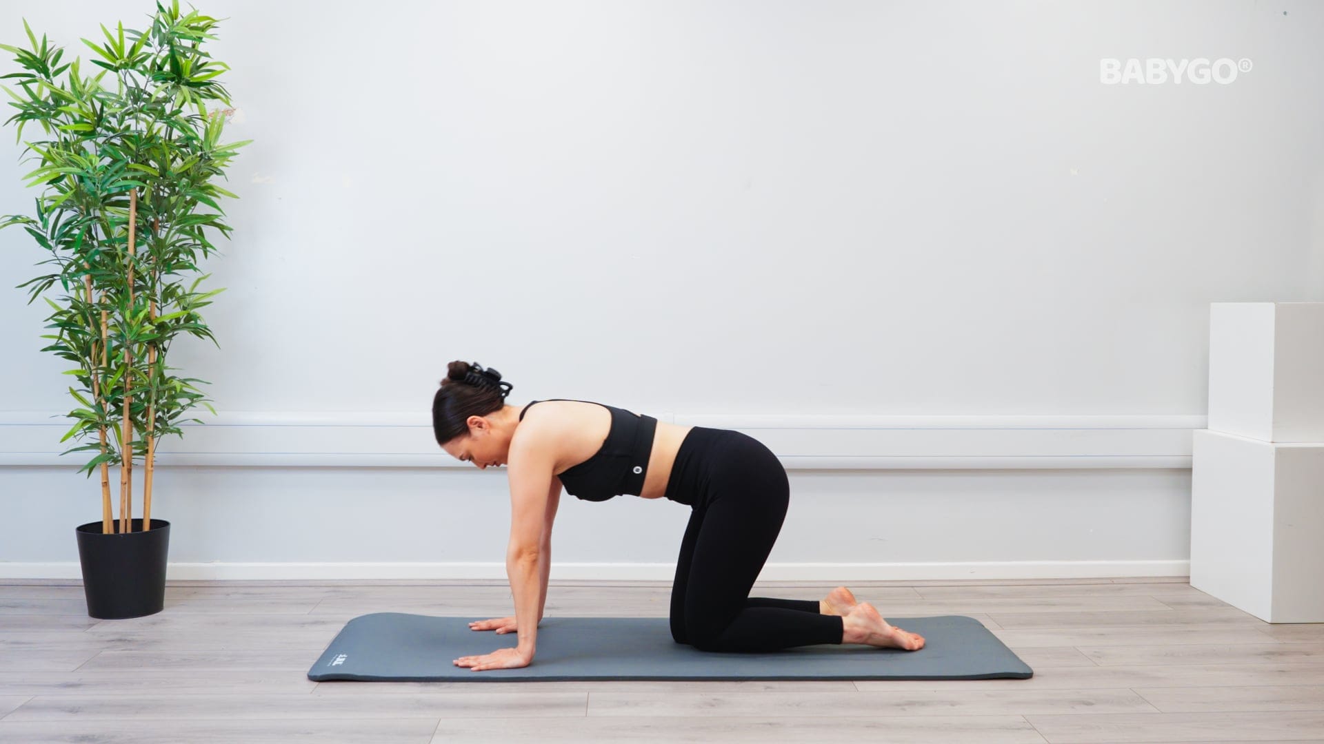 Cat/Cow (Without Ball) – Birthing Ball exercise