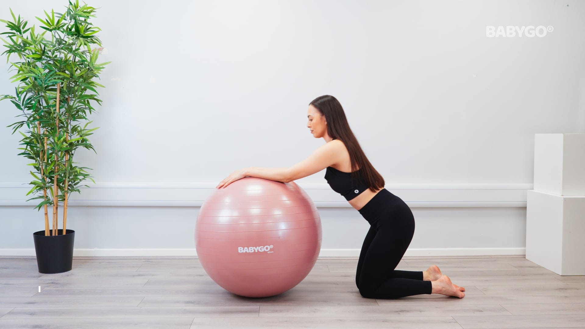 Core Ball Rollout - Postnatal – Birthing Ball exercise