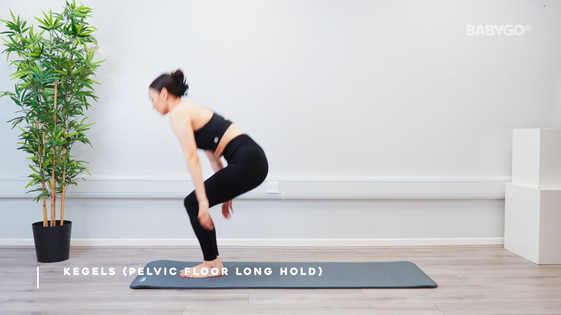 Kegels (Pelvic Floor Long Hold) – Birthing Ball exercise