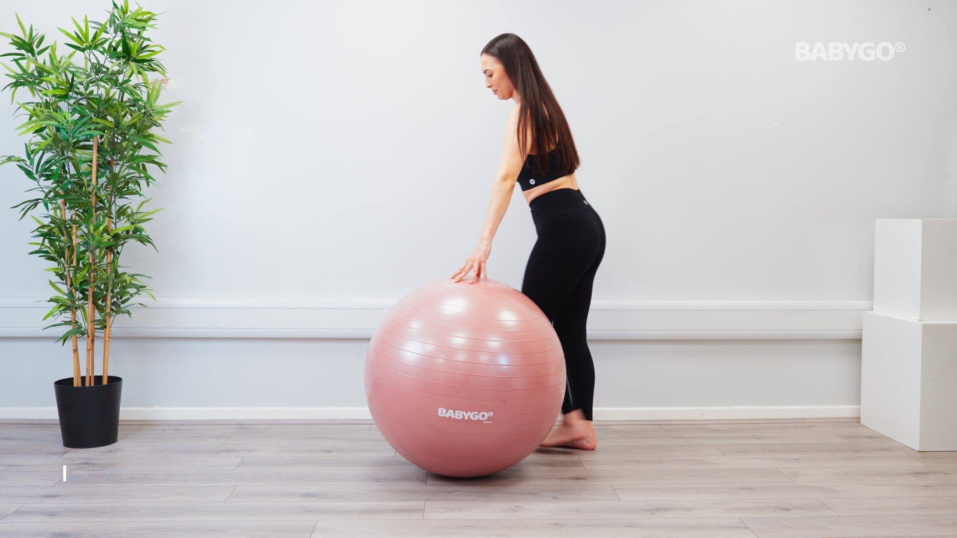 Small Bridge - Postnatal – Birthing Ball exercise