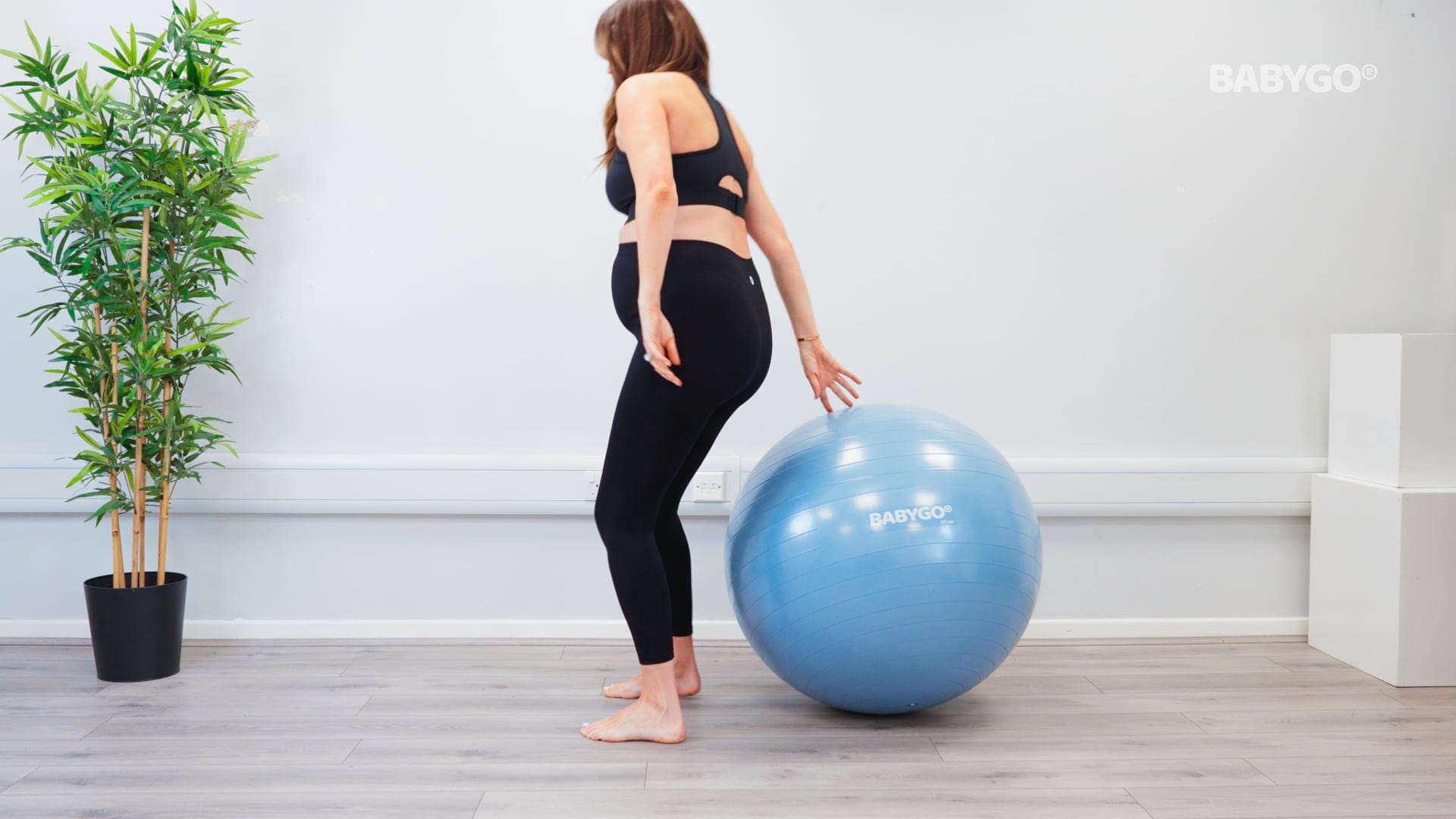 Small Bridge – Birthing Ball exercise