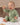 BABYGO® Zip Sleepsuit | 2 Pack