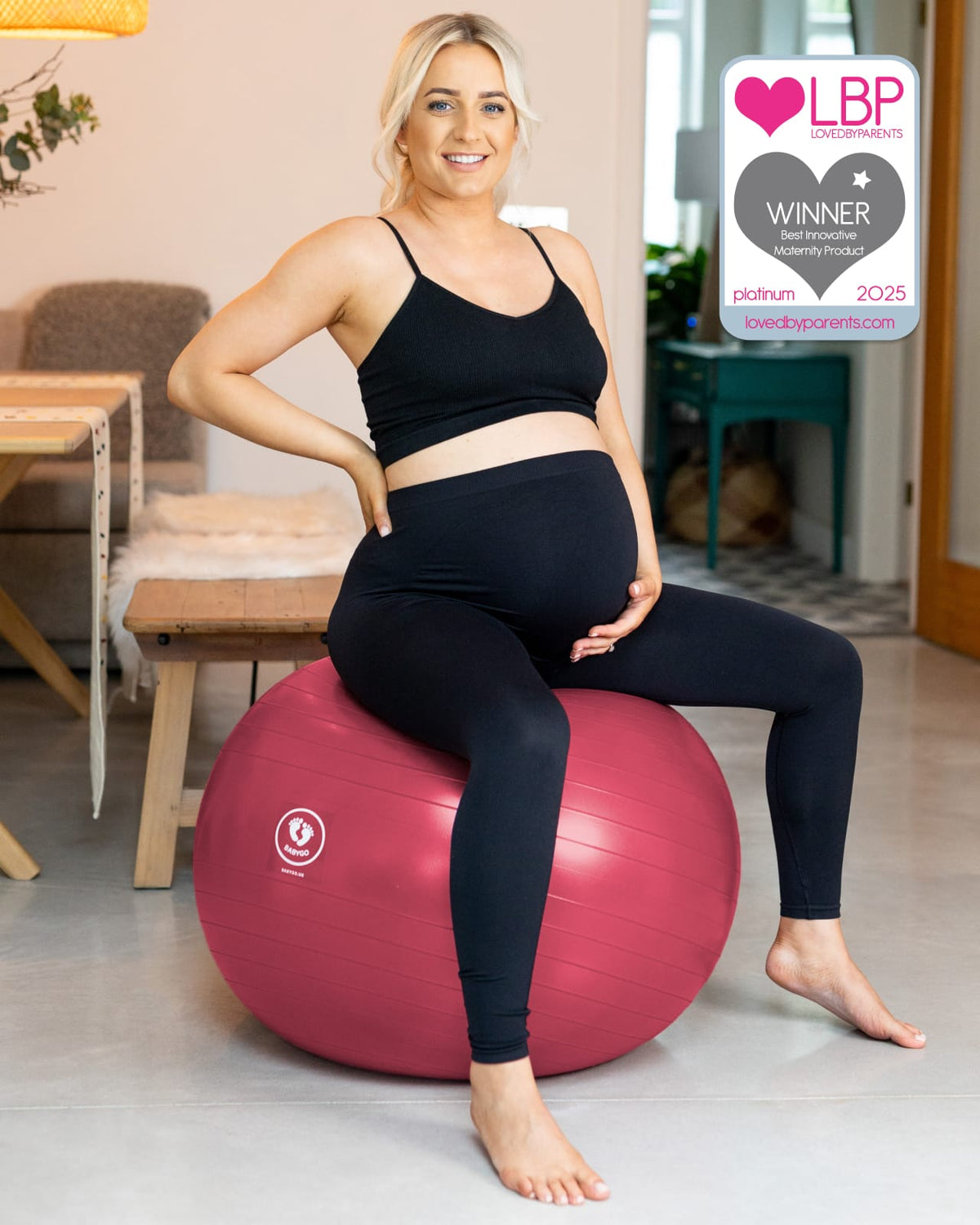 BABYGO® Birthing Ball Old Logo
