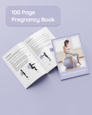 birthing ball book