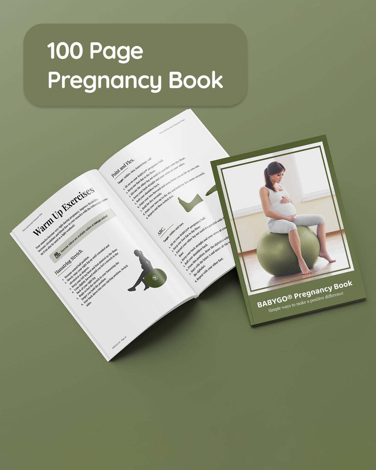 BABYGO® Birthing Ball Bundle