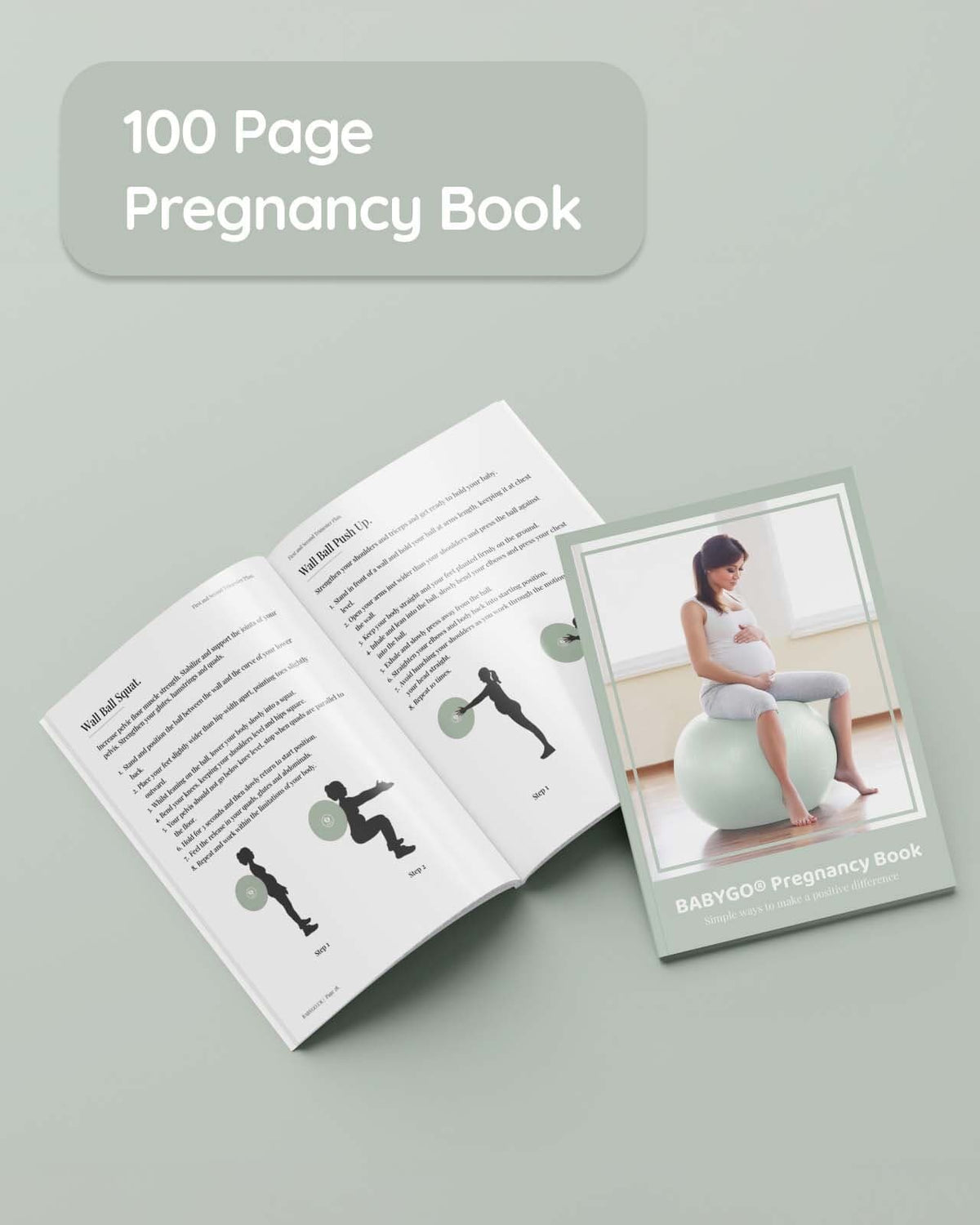 BABYGO® Birthing Ball Bundle
