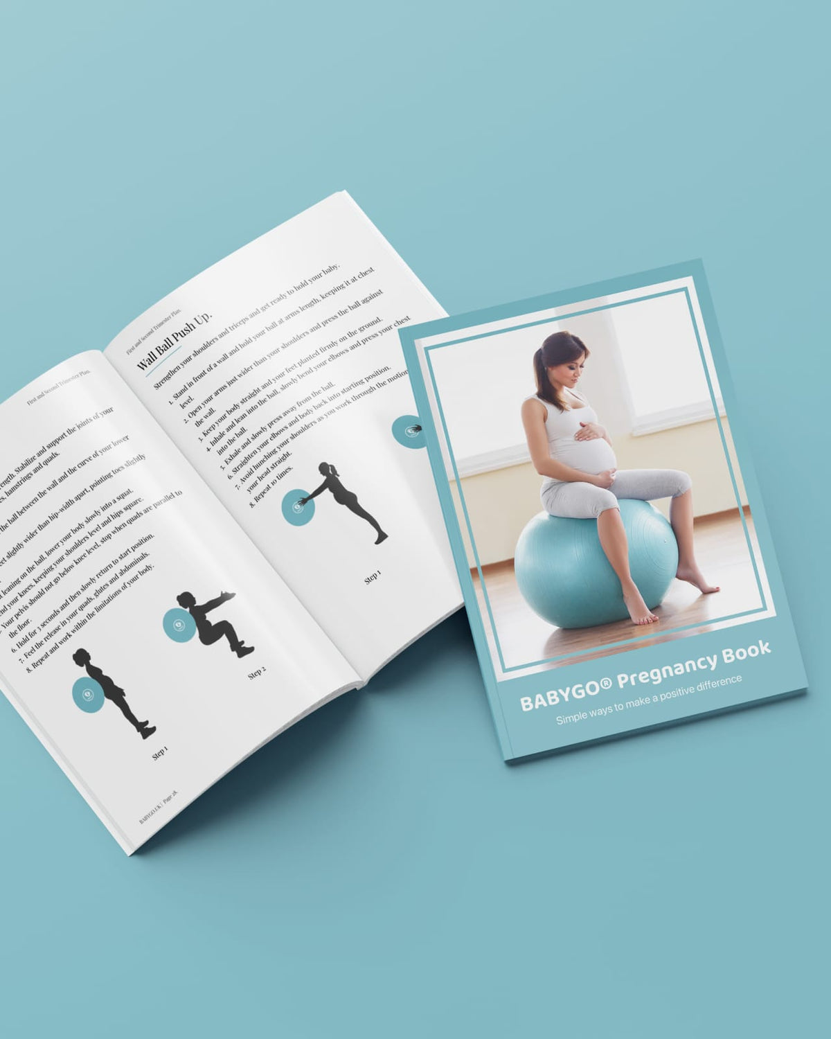 BABYGO® Birthing Ball Old Logo