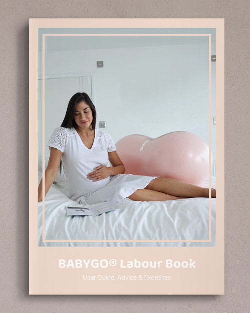 BABYGO® Peanut Ball for Labour