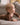 Baby wearing a mocha ribbed long sleeve bodysuit and leggings set, view 3