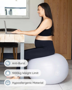 BABYGO® Birthing Ball Old Logo