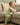 Baby wearing a sage ribbed short sleeve bodysuit and leggings set, view 2