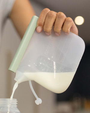 BABYGO® Reusable Silicone Breast Milk Bags (5 Pack)