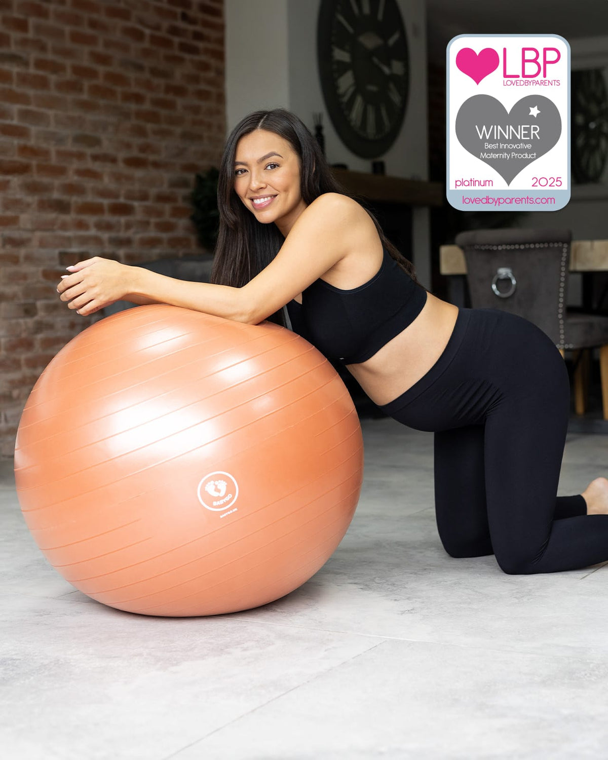 BABYGO® Birthing Ball Old Logo