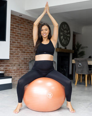 BABYGO® Birthing Ball Old Logo